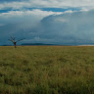 Meet your Posher, Cameron